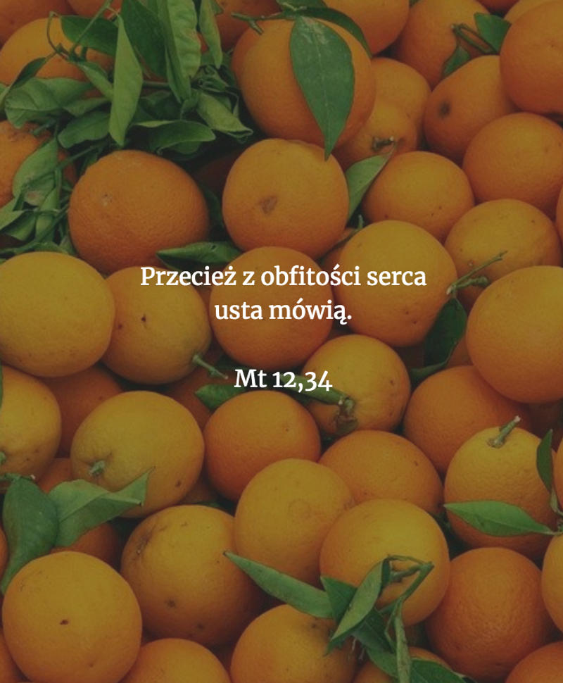 biblia_75603998_2449699958492373_1290700933021302784_o-e1591362379443.png - Aleteia Polska