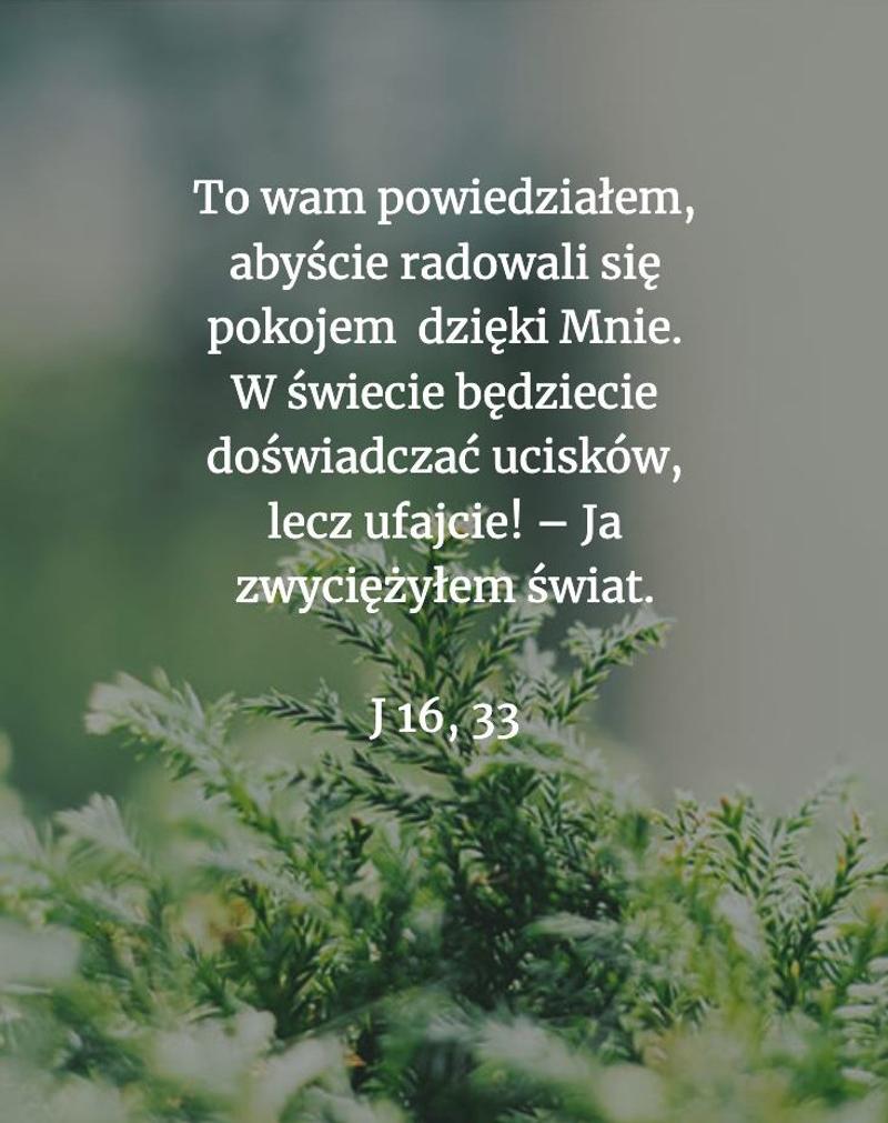 Cytat z Biblii [J 16, 13]