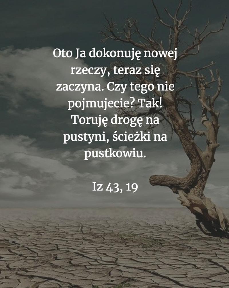 biblia_78945782_2484175468378155_4074269907573800960_o.jpg - Aleteia Polska Iz 43, 19