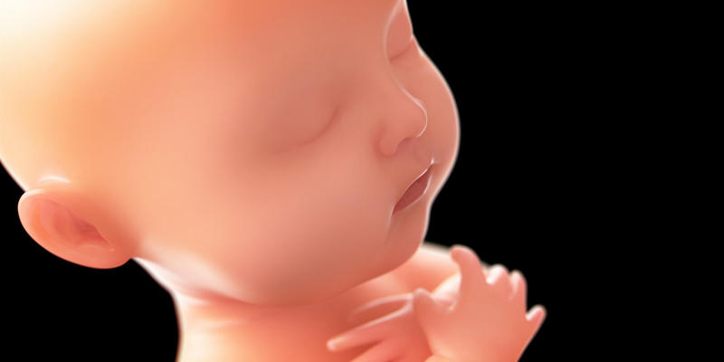Bebê em gestação