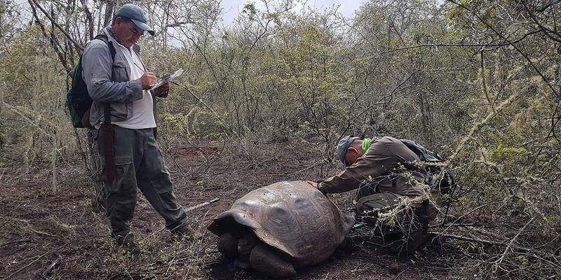 GALAPAGOS