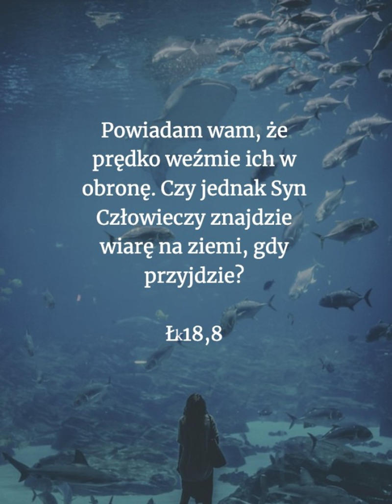 Cytat z Biblii [Łk 18, 8]