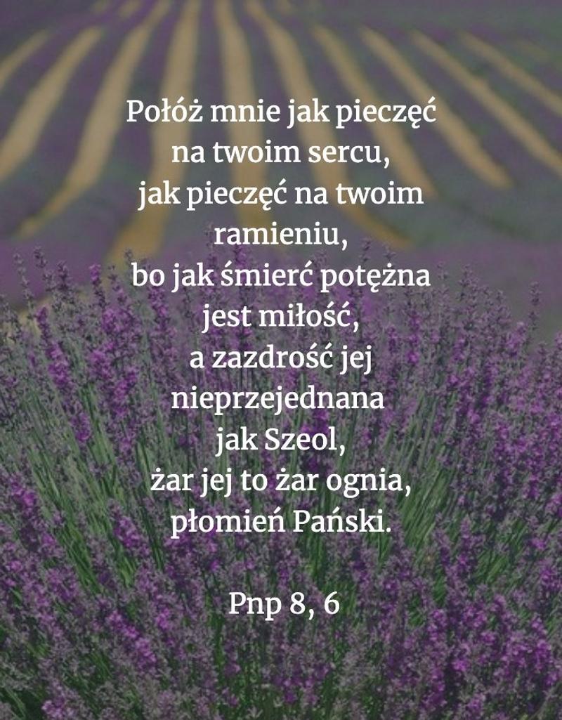 Cytat z Biblii [Pnp 8, 6]
