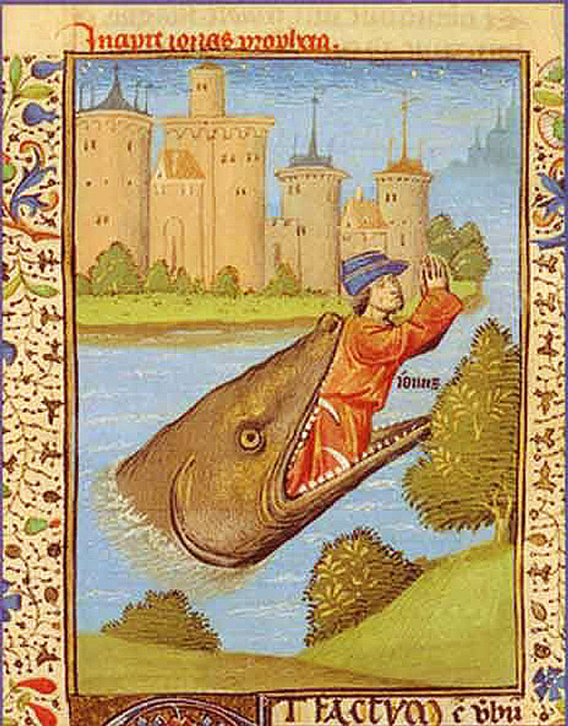 jonas-whale.jpg