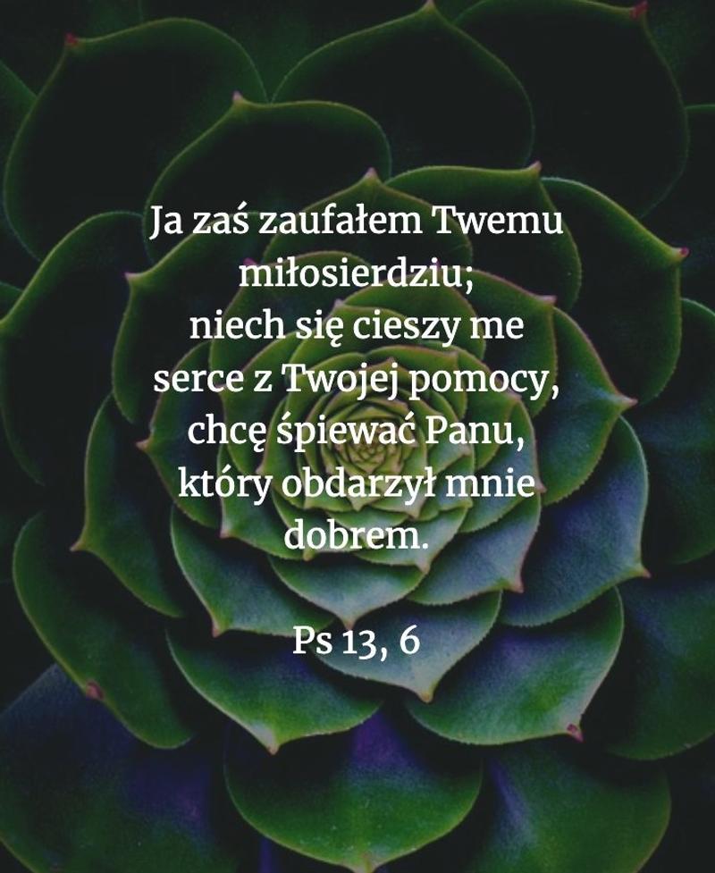 Cytat z Biblii [Ps 13, 6]