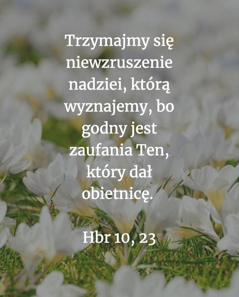 Cytat z Biblii [Hbr 10, 23]