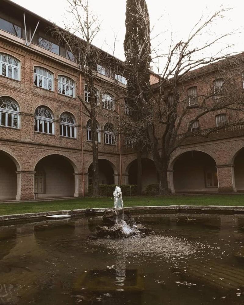 COLEGIO MAXIMO