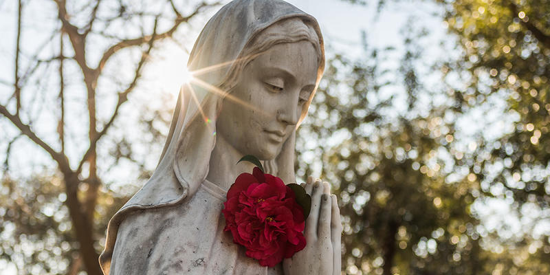 MOTHER MARY