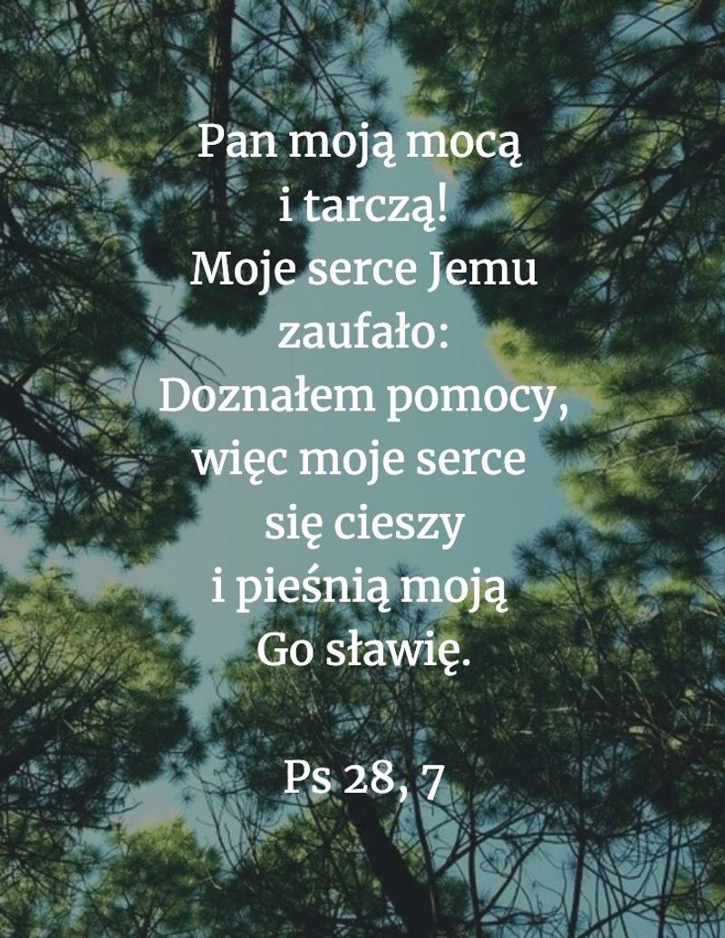 Cytat z Biblii [Ps 28, 7]