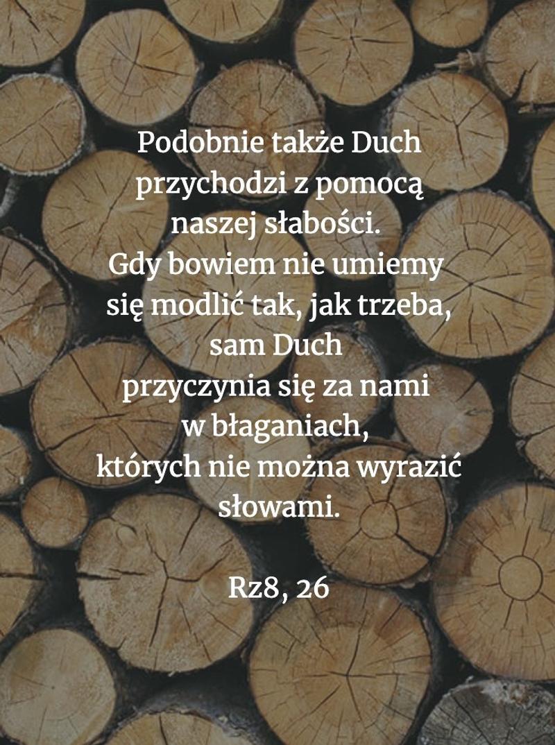 Cytat [Rz 8, 26]