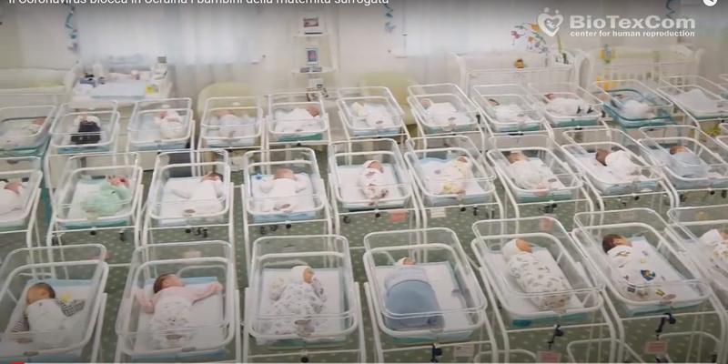 KIEV, SURROGACY, NEWBORNS