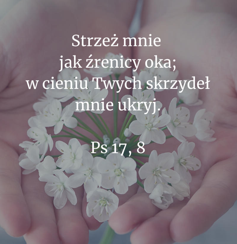 Cytat z Biblii [Ps 17, 8]