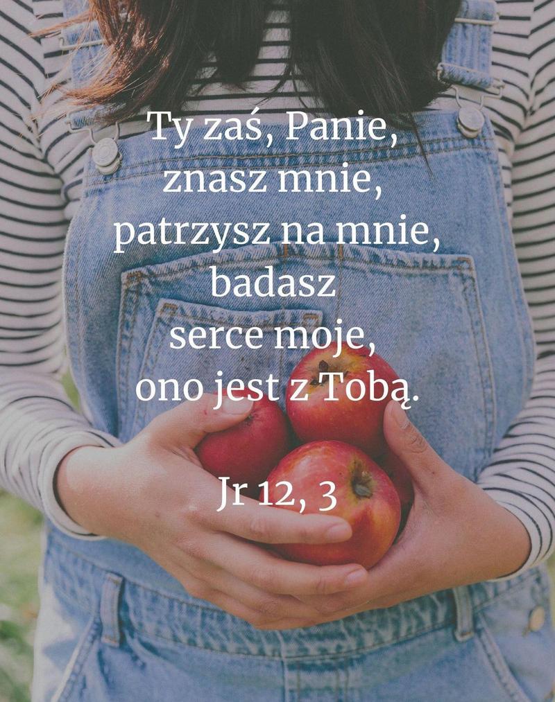 Cytat z Biblii [Jr 12, 3]