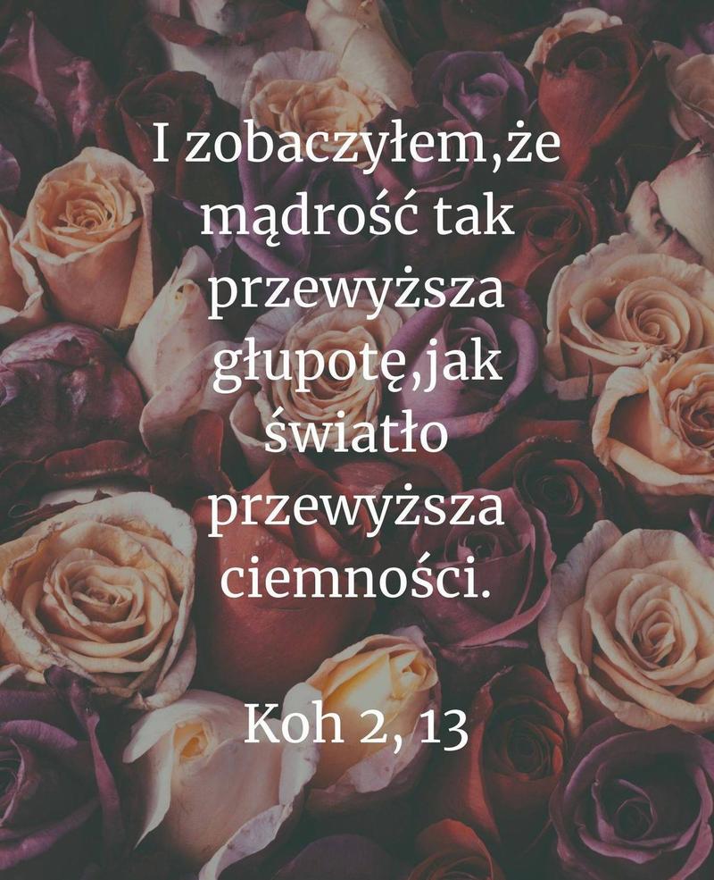 Cytat z Biblii [Koh 2, 13]