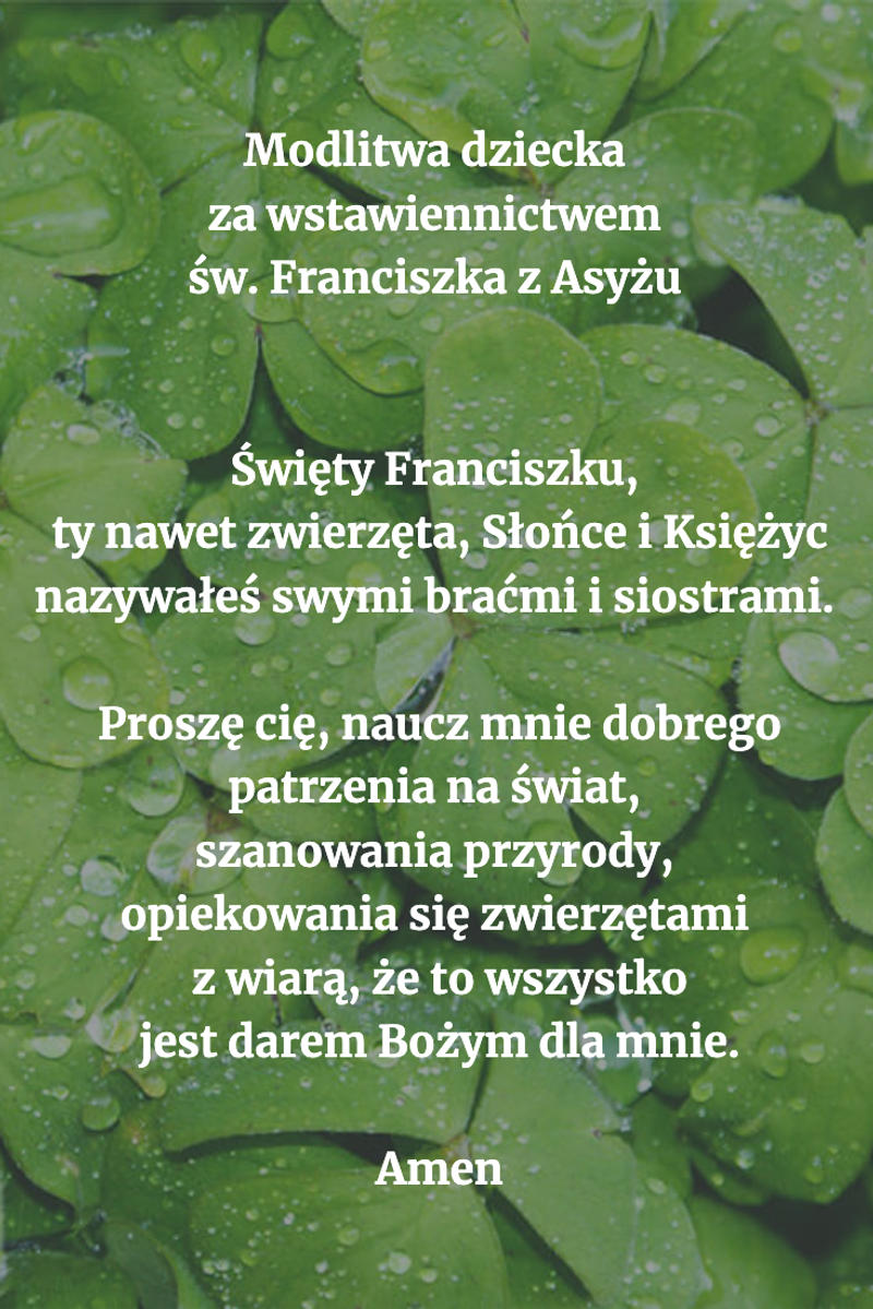 Modlitwa-dziecka-za-wstawiennictwem-św.-Franciszka-z-Asyżu-.png - Aleteia Polska