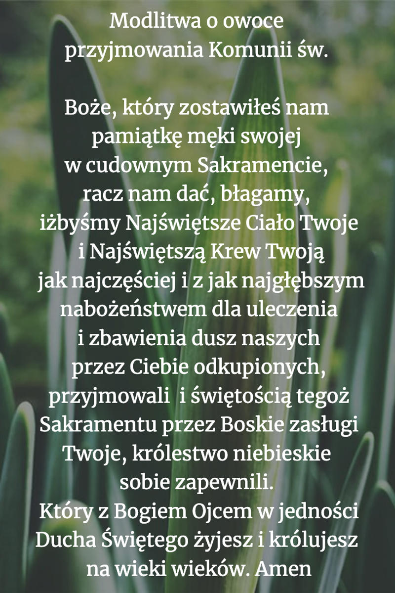 Modlitwa-o-owoce-przyjmowania-Komunii-św.-.png - Aleteia Polska