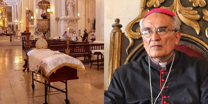 BOSCO VIVAS