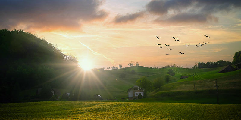 nature