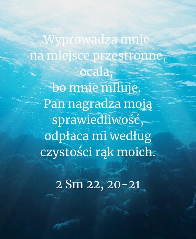 Cytat z Biblii [2 Sm 22, 20-21]