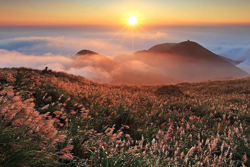 01-PARK-YANGMINGSHAN-NATIONAL-PARK-QUIET-Facebook-quietparkinternational.jpg - Aleteia.org | Español - valores con alma para vivir feliz QUIET PARK