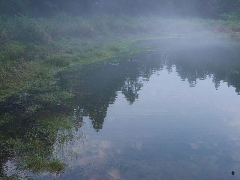 03-PARK-YANGMINGSHAN-NATIONAL-PARK-QUIET-Facebook-quietparkinternational.jpg - Aleteia.org | Español - valores con alma para vivir feliz QUIET PARK