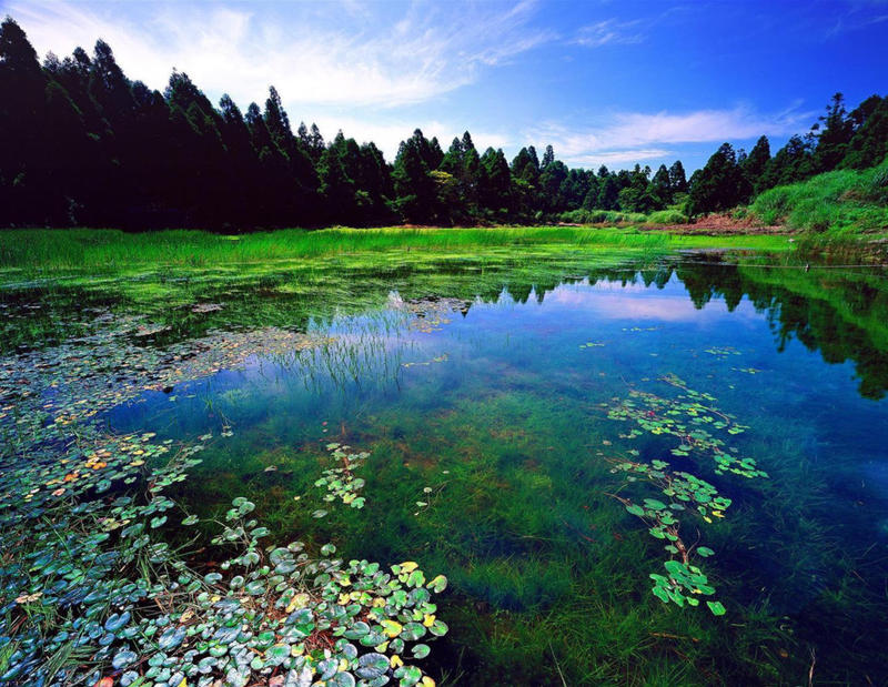 04-PARK-YANGMINGSHAN-NATIONAL-PARK-QUIET-Facebook-quietparkinternational.jpg - Aleteia.org | Español - valores con alma para vivir feliz QUIET PARK