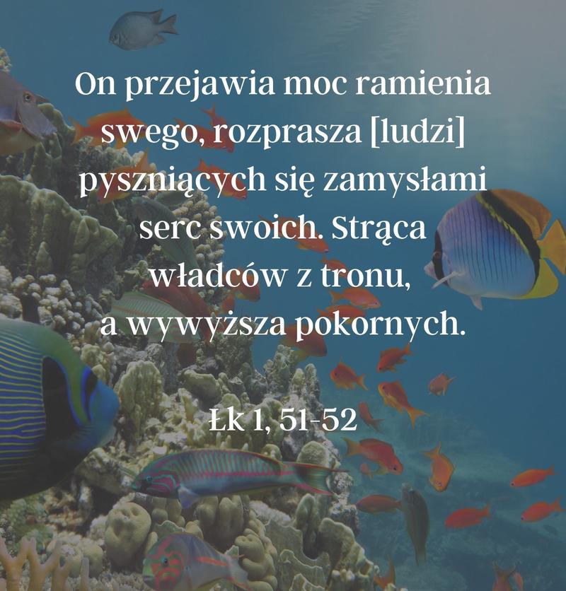 Cytat z Biblii [Łk 1, 51-52]