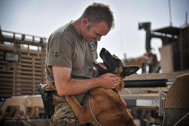 dog with a man