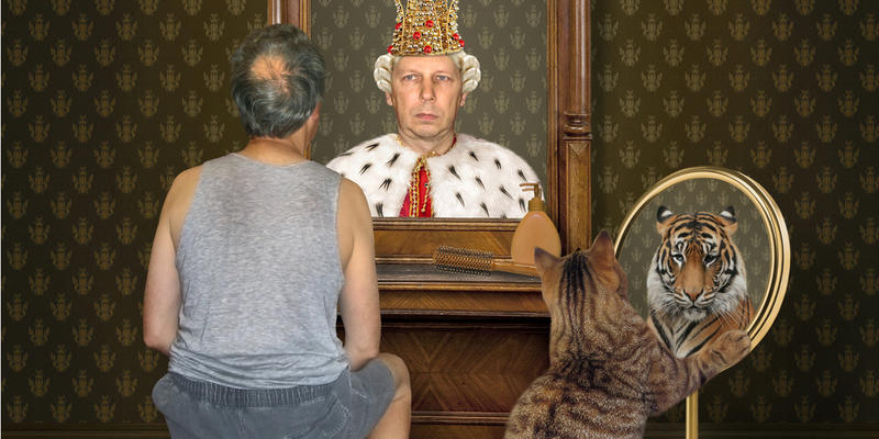 PRIDE CAT MIRROR LION
