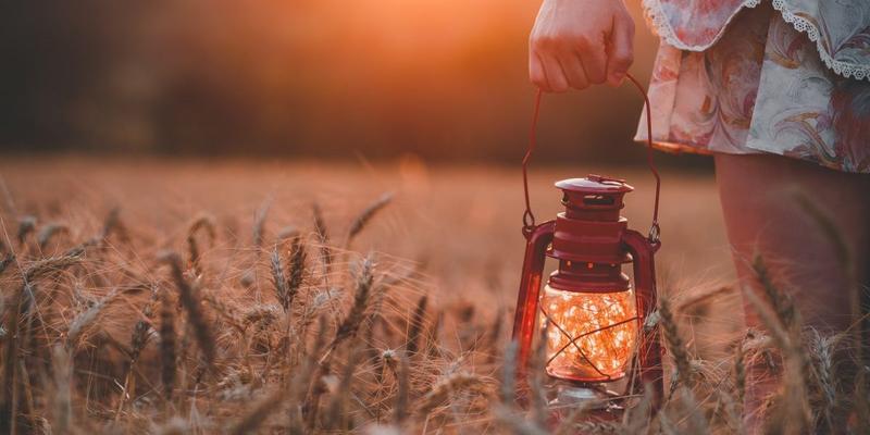 LANTERN, FIELD, HAND
