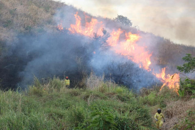 WEB-GUAYAQUIL-ECUADOR-BOMBEROS-FIREMEN-16-Benemerito-Cuerpo-de-Bomberos-Guayaquil.jpg - Aleteia.org | Español - valores con alma para vivir feliz GUAYAQUIL