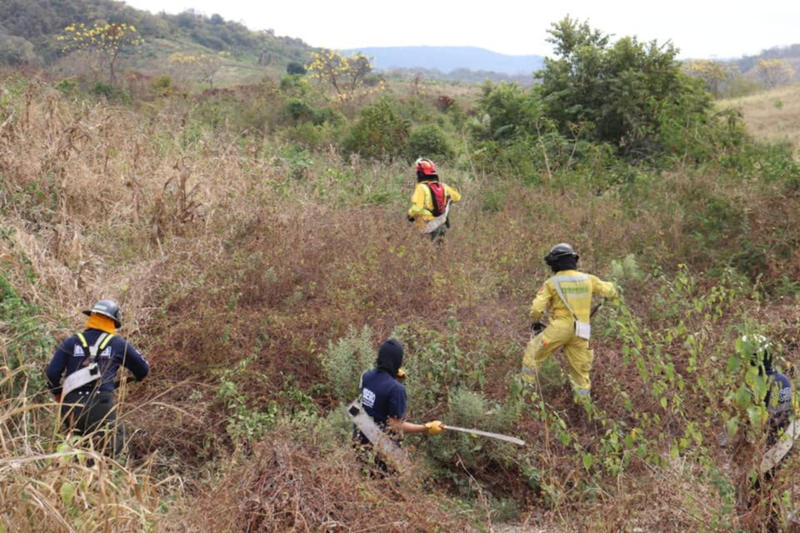 WEB-GUAYAQUIL-ECUADOR-BOMBEROS-FIREMEN-17-Benemerito-Cuerpo-de-Bomberos-Guayaquil.jpg - Aleteia.org | Español - valores con alma para vivir feliz GUAYAQUIL