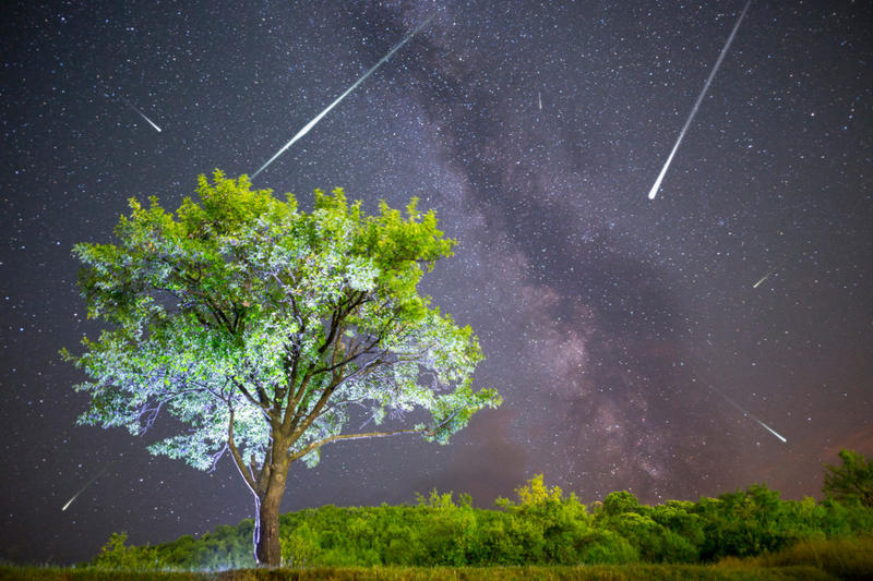 WEB-STARS-SKY-PERSEIDS-shutterstock_1118872526-Belish.jpg - Aleteia Polska PERSEIDS