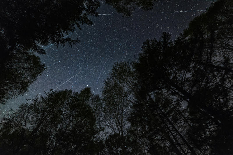 WEB-STARS-SKY-PERSEIDS-shutterstock_657799327-INDUPHOTOS.jpg - Aleteia Polska PERSEIDS