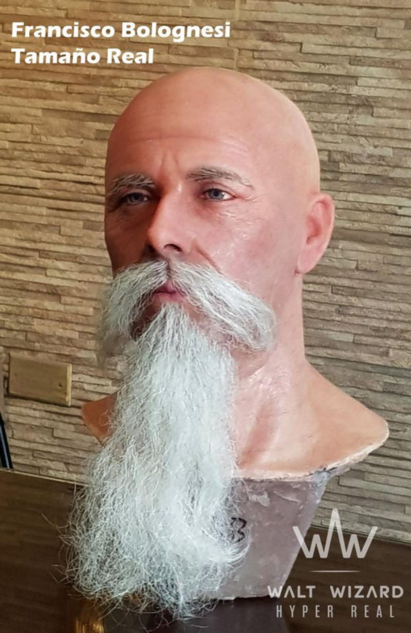 WALT WIZARD