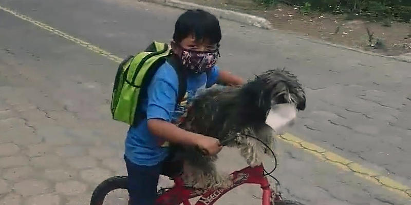 BOY AND DOG