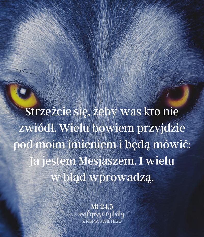Cytat z Pisma Świętego Mt 24,5