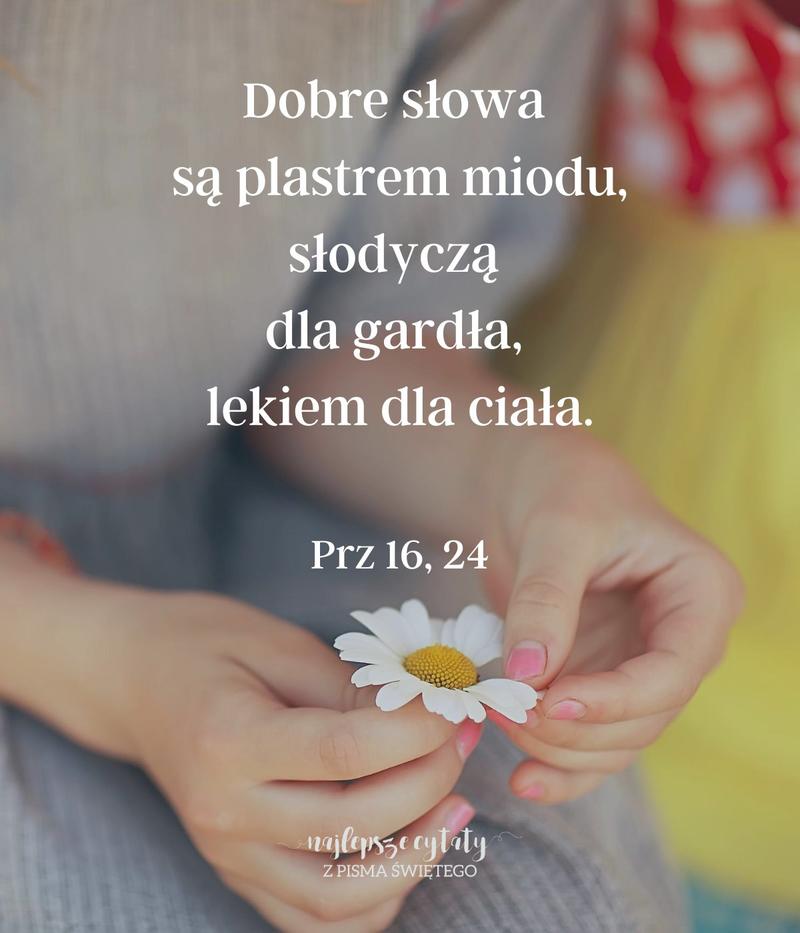 BBQ_prz16_24.jpg - Aleteia Polska Cytat z Pisma Świętego Prz 16,24