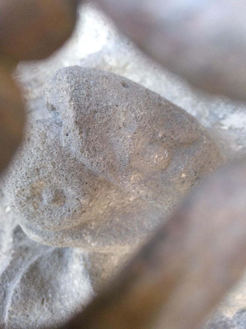 GAUDI