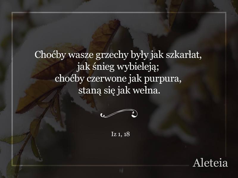 Chodźcie i spór ze Mną wiedźcie! - mówi Pan. Choćby wasze grzechy były jak szkarłat, jak śnieg wybieleją; choćby czerwone jak purpura, staną się jak wełna. Iz 1,18
