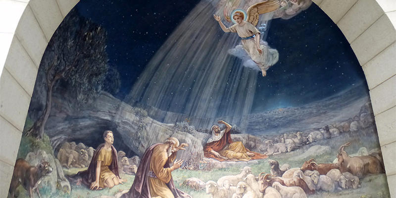 SHEPHERDS