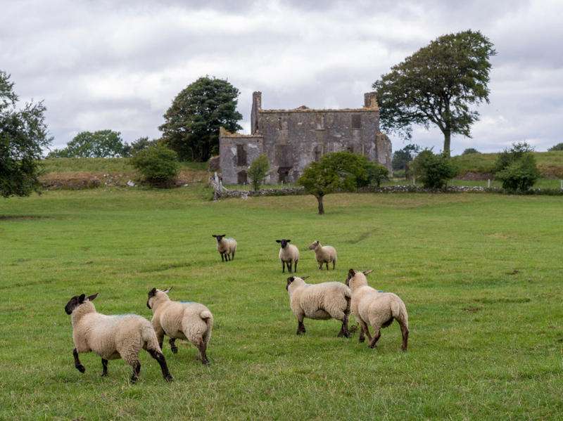 WEB-TUAM-IRELAND-shutterstock_1794011587-Keith-Levit.jpg