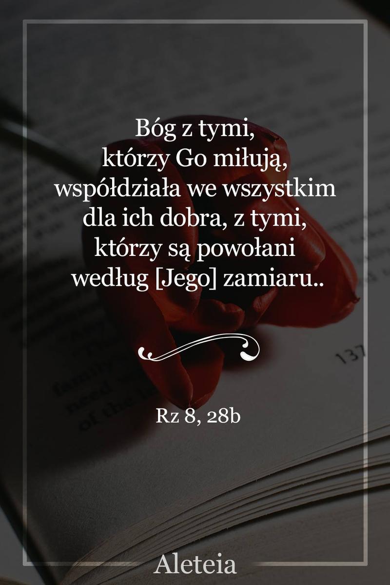 Bóg z tymi, którzy Go miłują, współdziała we wszystkim* dla ich dobra, z tymi, którzy są powołani według [Jego] zamiaru. Rz 8,28b