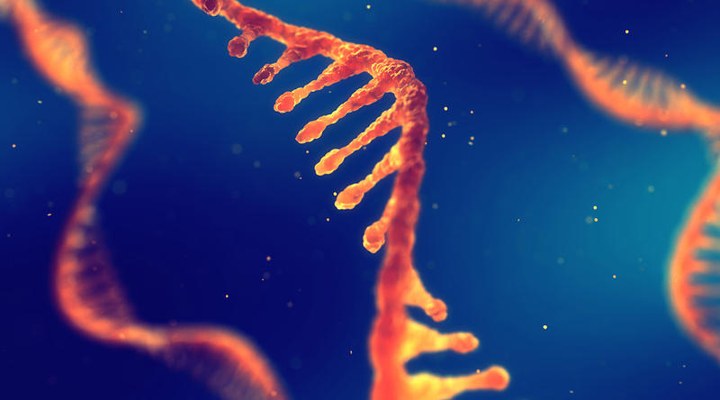 RNA