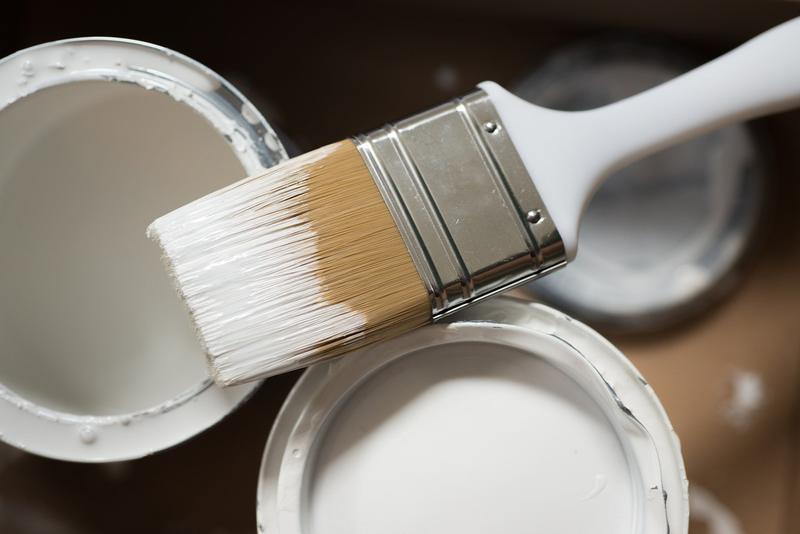 CEPILLO DE PINTURA