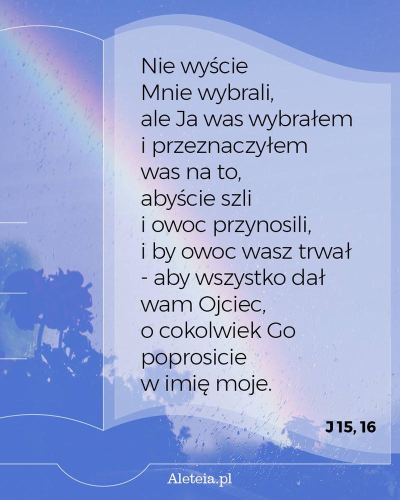 Nie wyście Mnie wybrali, ale Ja was wybrałem i przeznaczyłem was na to, abyście szli i owoc przynosili, i by owoc wasz trwał - aby wszystko dał wam Ojciec, o cokolwiek Go poprosicie w imię moje. J 15,16