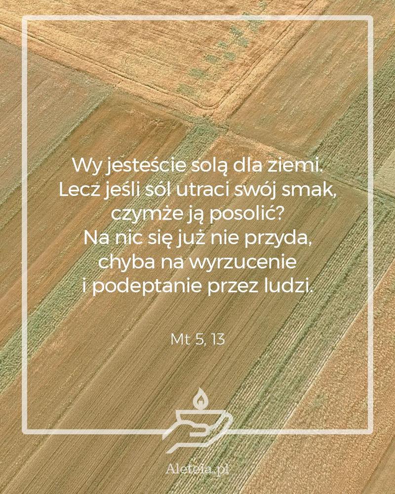 BBQ_MT5_13.jpeg - Aleteia Polska Wy jesteście solą dla ziemi. Lecz jeśli sól utraci swój smak, czymże ją posolić? Na nic się już nie przyda, chyba na wyrzucenie i podeptanie przez ludzi. Mt 5, 13