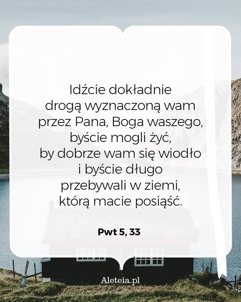 BBQ_PWT5_33.jpeg - Aleteia Polska Idźcie dokładnie drogą wyznaczoną wam przez Pana, Boga waszego, byście mogli żyć, by dobrze wam się wiodło i byście długo przebywali w ziemi, którą macie posiąść. Pwt 5,33