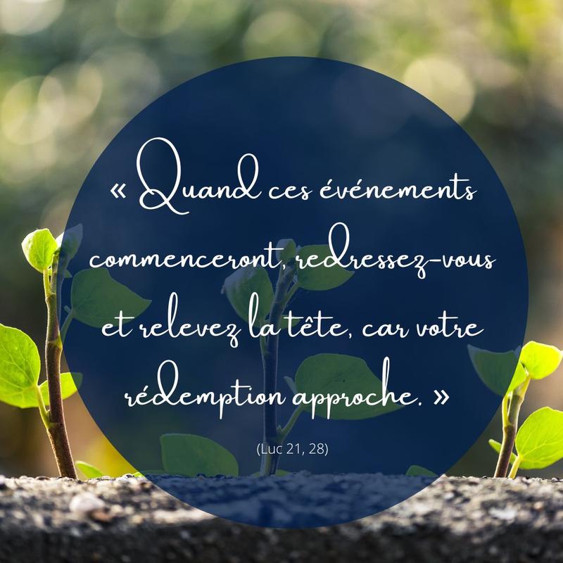 Citations de Jésus