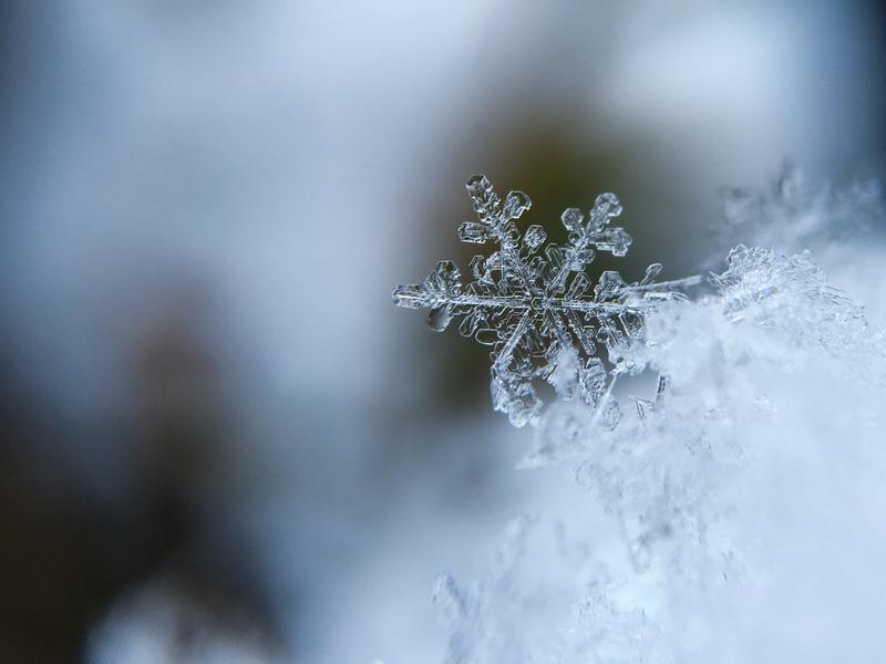 aaron-burden-snowflake-frost-crystal-unsplash